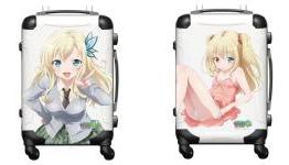 Give the TSA an eyeful with Haganai NEXT luggage