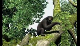 Zoo Tycoon Review | X-One Magazine UK