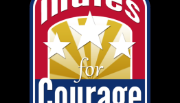 Indies for Courage – indie games for US Armed Forces that are deployed abroad or in recovery