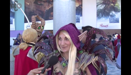 Blizzard Cosplay Fans Detail Costumes