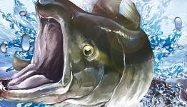 Reel Fishing Paradise 3D review [Nintendo Insider]