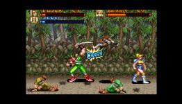 Brawl Brothers Review | NWR