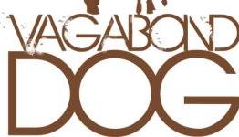 Vagabond Dog: An Accidental Games Studio