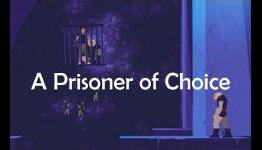 A Prisoner of Choice – The more I buy, the less I play