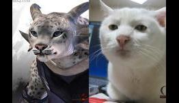 Players Post Pics Correspond with GW2 Wintersday New Characters