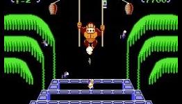 Donkey Kong 3 Review | NintendoLife
