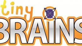 Tiny Brains Review | 6aming