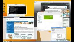 SteamOS vs. Windows 8.1 NVIDIA Performance