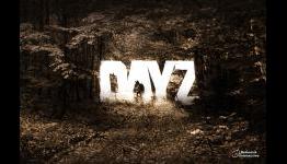 DayZ Standalone First Impressions