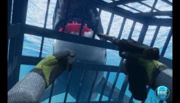 Word of Diving – Pre-Alpha Multiplayer Trailer Released