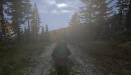 DayZ Hints, Tips & Tricks