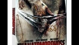 Chords in Conversation: Eric Falardeau Talks Thanatomorphose