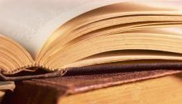Five books that would make amazing video games