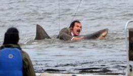 Anchorman 2 and Walter Mitty Used the Same Incredible Animatronic Shark