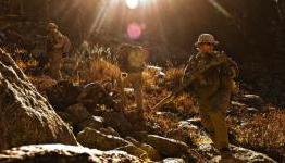 Lone Survivor Review | Entertainment Buddha