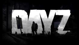 DayZ Experimental patch ends infinite backpacks, adds a shotgun and hacksaw