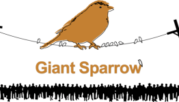 Unfinished Swan Developer is Hiring for an Unannounced Project