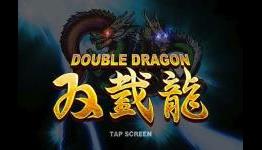 Double Dragon Review | Hardcore Droid