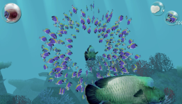 Blue Eden’s Mobile Message: An Interview With Chun Wah Kong of Skoobie Games