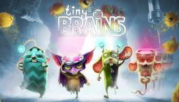 Tiny Brains Review – punkandlizard