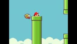 Flappy Bird Seems Familiar: Will Nintendo Sue?