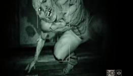 D-Pad, Outlast Review