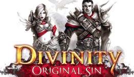 Everything you wanted to know about Divinity: Original Sin – whether it be a sin RPG worth?