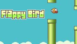 What Flappy Bird Reveals