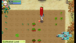 PSA: Rune Factory 4 Hold Glitch
