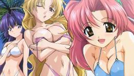 Is Fan Service the Trash of Anime?