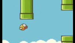 The Flappy Bird Saga & What We Learned