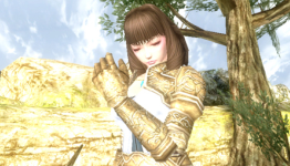 More Updates on Character Customization, New Races and Classes for Valhalla Knights 3 Gold