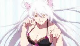 Aniplex USA Adds ‘Nekomonogatari Black’ & ‘White’
