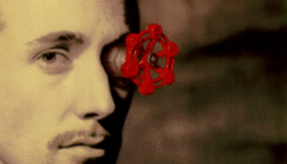 Valve Assures Anti-Cheat Program is Not Recording Browser History