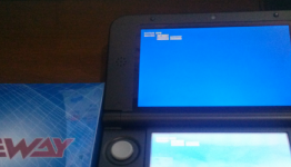 3DS Piracy Cartridge Bricks User’s 3DS