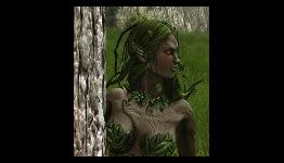 Dungeons and Dragons Online celebrates its 8th anniversary