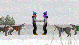 Live The Dream With Dog Sled Saga