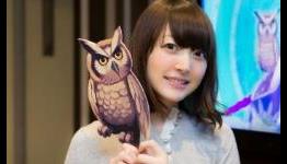 Sony Video Game Exec Makes the Leap to Owl Noises