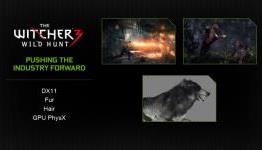 NVIDIA Demonstrates Witcher 3 With HairWorks – Talks Hair Simulation, FleX PhysX and Turbulence