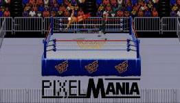 PixelMania: WWF Super WrestleMania