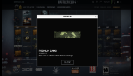 “Stand Out With Premium Camoflauge” – That’s a Fail, EA.