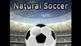 Natural Soccer Review | Arcade Pixels