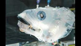 Deep-sea Fish Inspire Robotic Feeding Model