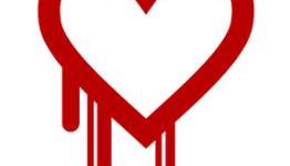Heartbleed Security Flaw Catches Internet Off Guard