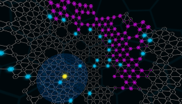 Darknet Demo Released Online