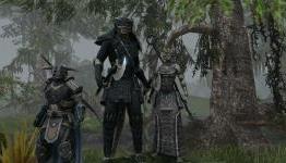 Players create custom auction house for The Elder Scrolls Online