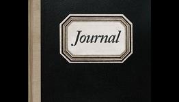 Journal – Pixeljudge review