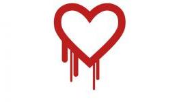 Google Knew About Heartbleed and Didn’t Tell the Government