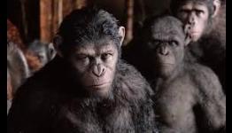 James Franco Has A Cameo In ‘Dawn Of The Planet Of The Apes’