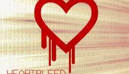 Which of Your Passwords Were Hacked By Heartbleed?